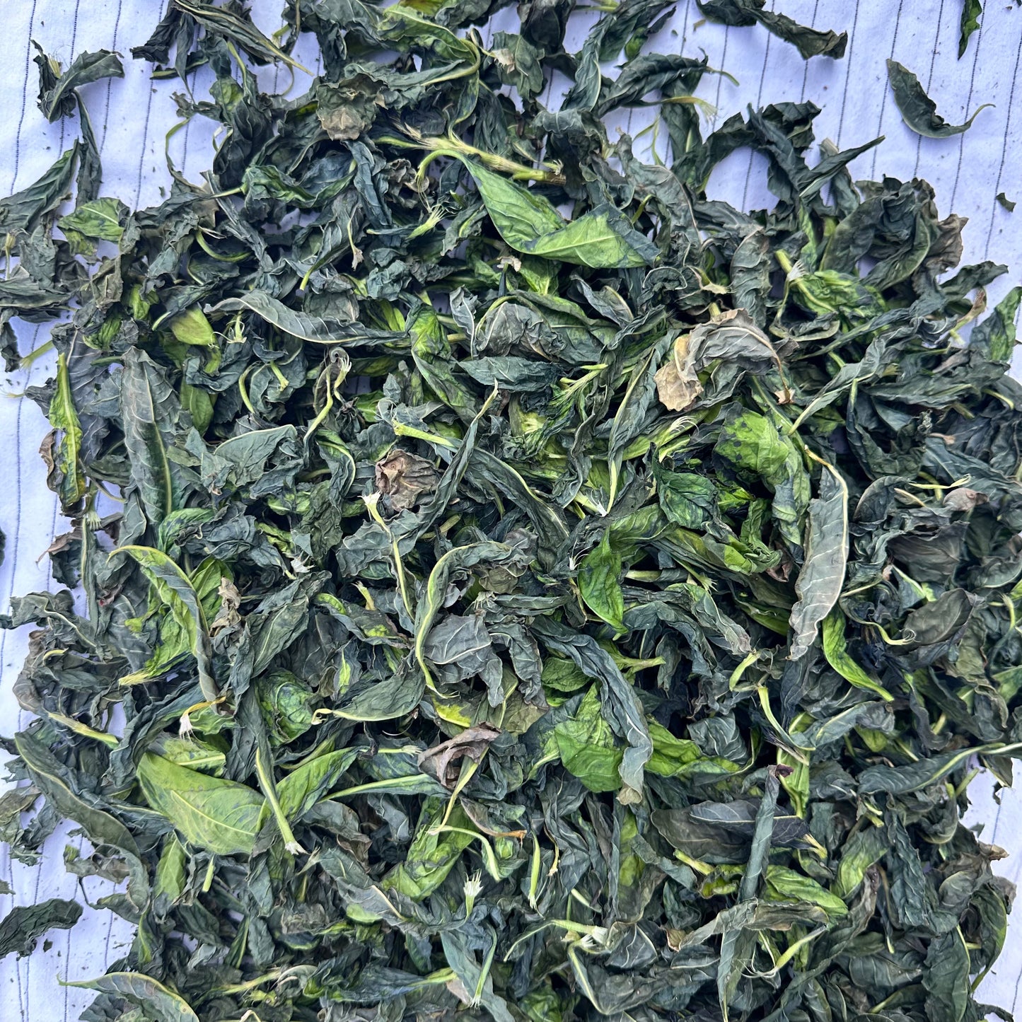 Eco Printing and Bundle Dyeing Workshop- Adults