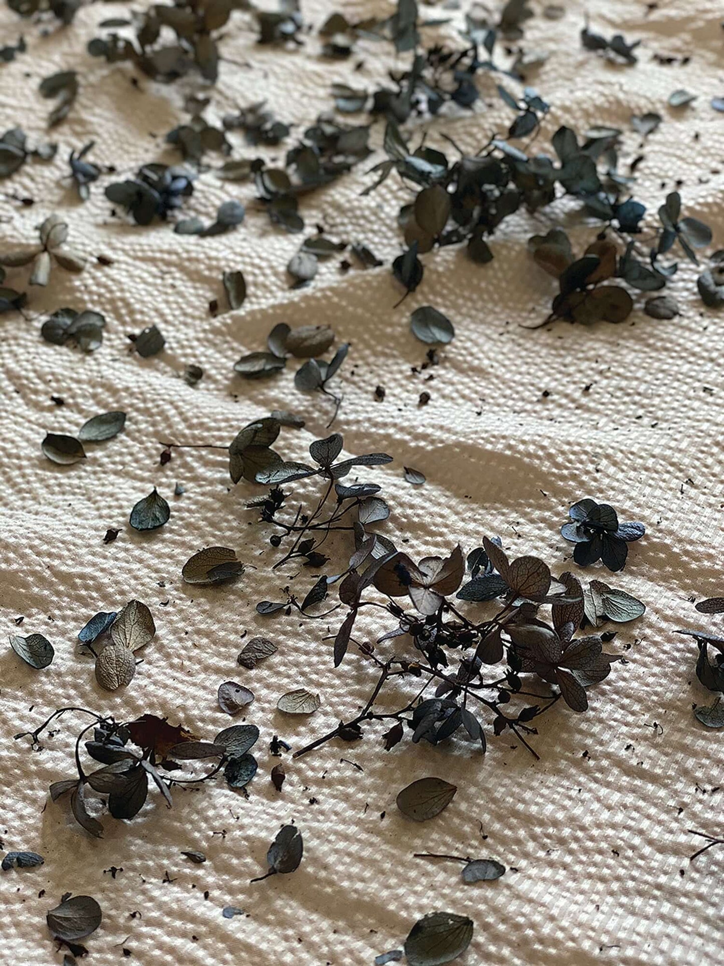 Eco Printing and Bundle Dyeing Workshop- Adults